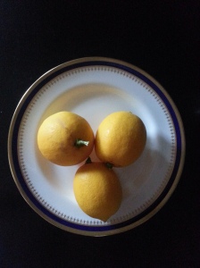 January Lemons